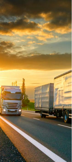 CÔNG TY  NECTAR TRADING COMPANY LIMITED